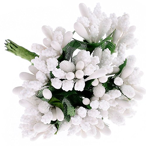 image for Supla 12 bouquets Pip Berry Stems Pip Berries Berry Stamen Pip Berry W