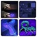16.4FT 3528SMD 300LED UV Strip Light Blacklight Christmas Ultraviolet Light Kitchen Decor Light TV Backlight Waterproof Night Fishing Light DC12V