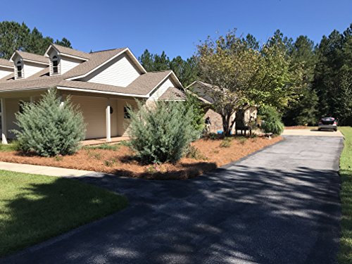 USA Pine Straw - Pine Needle Mulch - Covers 240 Sqft - Thumbnail 6