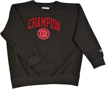 champion heritage logo sweatshirt