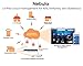 Zyxel 802.11ac Dual-radio Dual-optimized Antenna 3x3 Nebula Cloud Managed Access Point - 1 Year Bundled Service [NAP203]