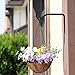 LOOGI Plant Hooks Iron Wall Hanger Decorative Bracket Holder 6 Inch for Hanging Planter Lantern Bird Feeder Sconce – 3 Packthumb 1