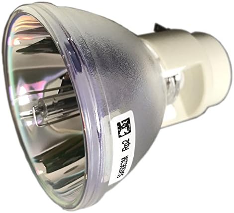 Litance Projector Bare Bulb Replacement for BenQ 5J.JEL05.001, TH670