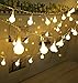 100 LED 38Ft/12m Globe Ball Outdoor / Indoor Led String Lights with Safety 31V transformer US Plug,Color Warm White(IP44 Waterproof)