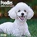 Poodles 2018 16 Month Wall Calendar 12 x 12 inches Bright Day Calendars Publishing