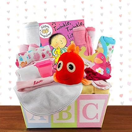 welcome home baby girl gift basket