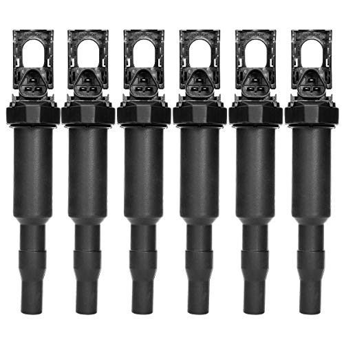 YLING Ignition Coil Pack Set of 6 Replaces OE# 0221504470 for BMW 325i 325Ci 328i 330Ci 335i 525i 528i 530i 535i 545i 745Li X3 X5 M5 M6 Z4 & More - 2 Yr Warranty