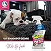 OdoBan Pet Solutions Oxy Stain Remover, Pet Stain Eliminator, 32 Ounce Spray