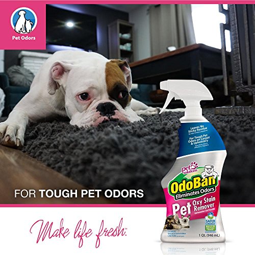 List of the Top 10 odoban pet odor eliminator you can buy in 2019