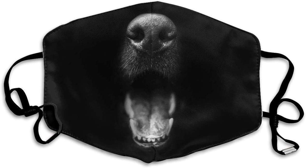 Anti Dust Mask The Dog's Nose and Mouth Anti Pollution Washable Reusable Mouth Masks
