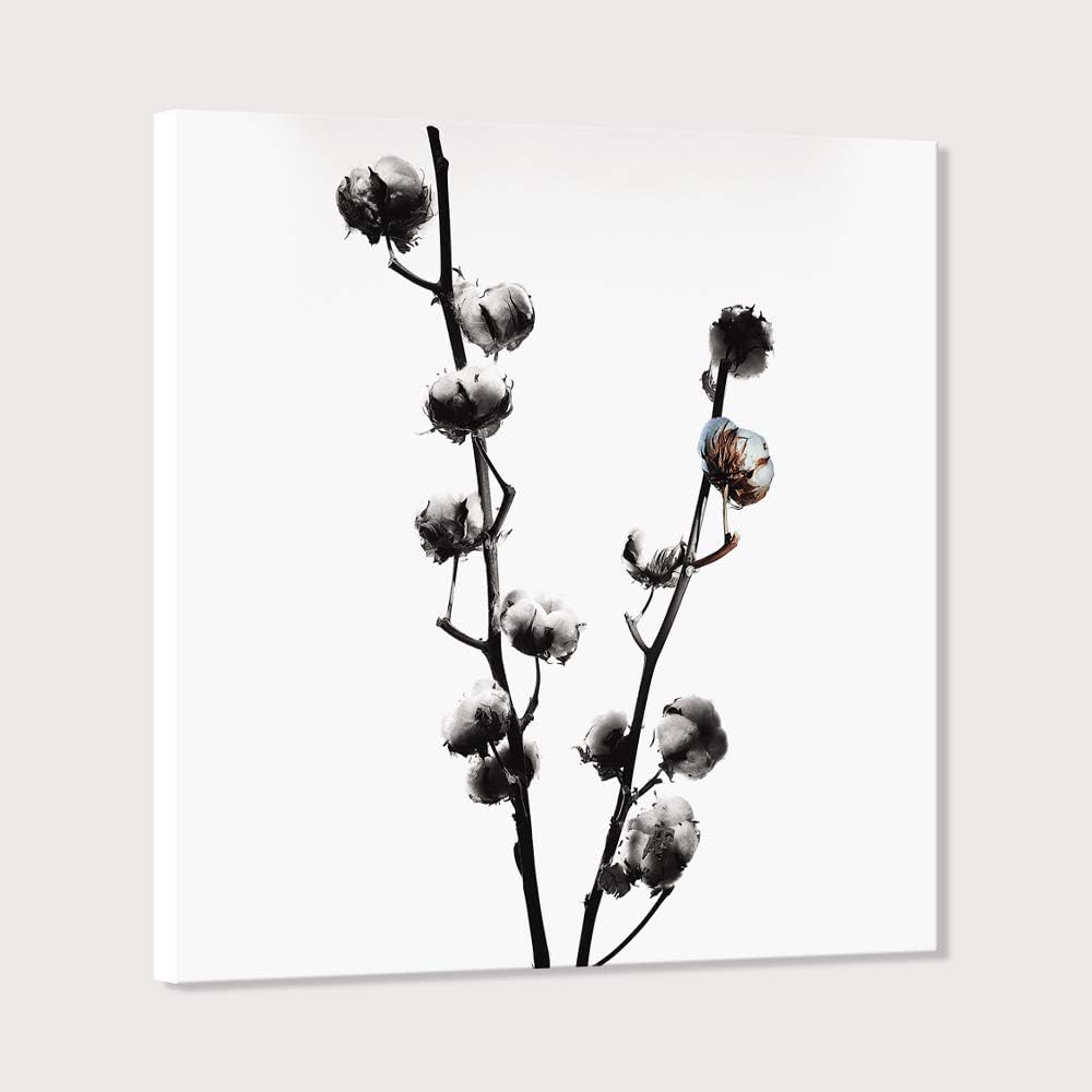 Amazon Co Jp 7 Fision Art 北欧アート 花 植物 白黒の絵画 モダンインテリア キャンバスプリント リビング ルーム ベッドルーム オフィス 装飾 ホーム キッチン Amazon Co Jp 7 Fision Art 北欧アート 花 植物 白黒の絵画 モダンインテリア キャンバスプリント リビング ルーム ベッドルーム オフィス 装飾 ホーム キッチン