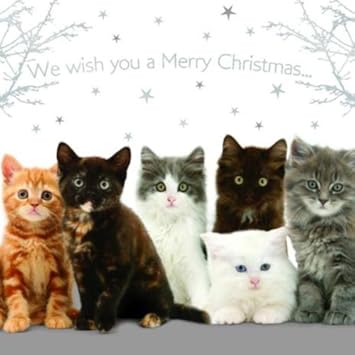 Image result for cat christmas card