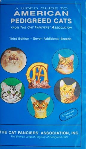 3rd largest cat in the world