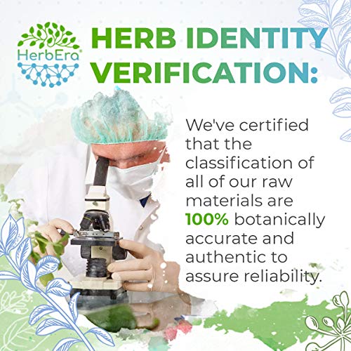 image for HerbEra Cilantro B120 Alcohol-Free Herbal Extract Tincture, Super-Conc