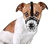 BronzeDog Wire Basket Dog Muzzle Jack Russell Terrier Metal Leather Adjustable Puppy Small (XS)
