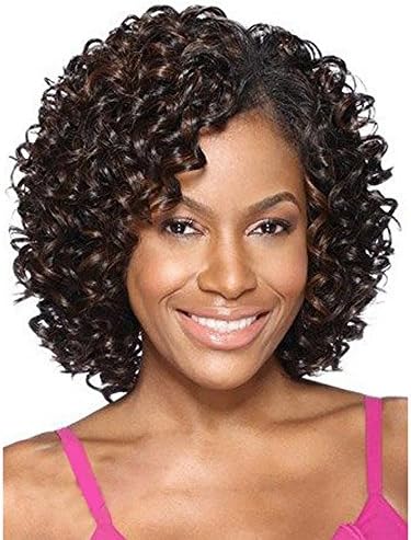 QianBaiHui Short Kinky Curly Wigs for Black Women - American African Women's Wig Heat Resistant Synthetic Hair Fashion Full Wigs (Brown-1)