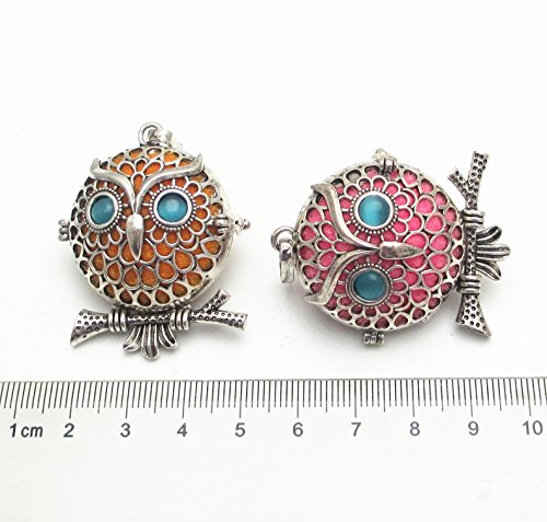 Dandan DIY 5pcs Owl Bird Brass Hollow Cage Locket Perfume Essential Oil Aromatherapy Diffuser Charms Owl Hollow Pendant Craft Diffusion Ball (Owl-1)