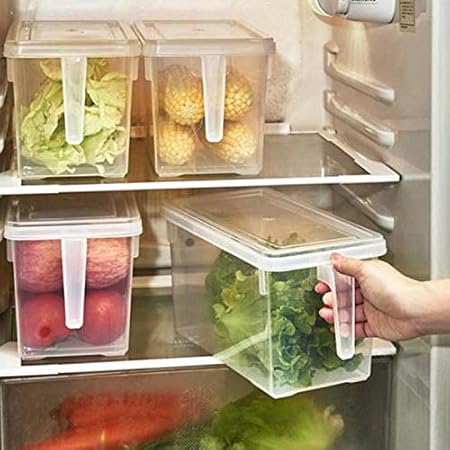 FidgetFidget Caja de Almacenamiento Guardar Alimentos de Frutas ...