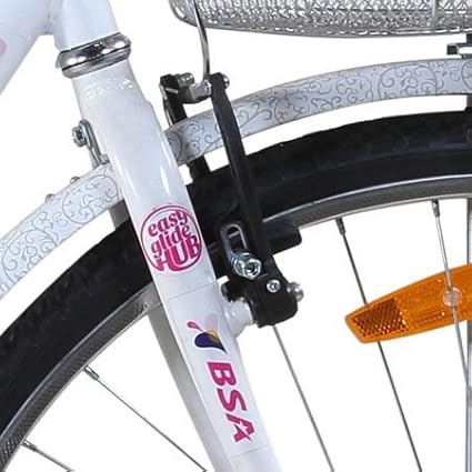 bsa ladybird splash cycle price