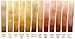 Daniel Smith Extra Fine Watercolor 15ml Paint Tube, Goethite-Brown Ochre (284600144), 0.5 Fl Oz (Pack of 1)