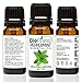 BioFinest Peppermint Oil - 100% Pure Peppermint Essential Oil - Therapeutic Grade - Premium Quality - Best For Aromatherapy, Headaches and Migraines Relief - FREE E-Book (10ml)
