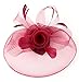 Urban CoCo Women's Elegant Flower Feather and Veil Fascinator Cocktail Party Hair Clip Hat (Wine red)