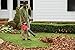 CRAFTSMAN V60* Cordless Leaf Blower (CMCBL760E1)