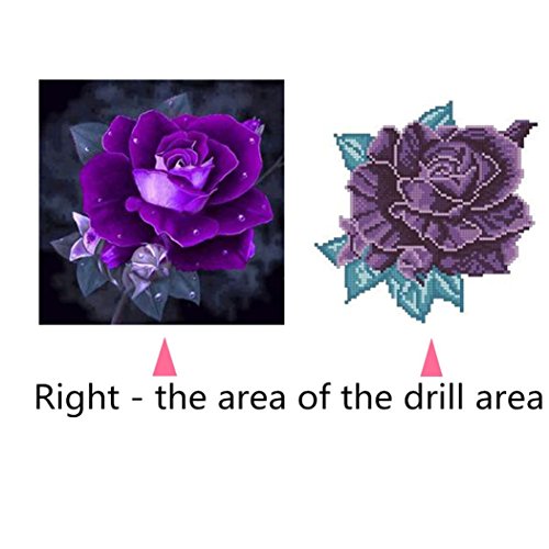 Botrong 5D Embroidery Paintings Rhinestone Pasted DIY Diamond painting Embroidery Arts Craft Adults' Children's Paint-By-Number Kits Cross Stitch (❤️ D:12X12inch / 30X30CM)