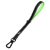 PLUTUS PET Short Training Dog Leash with Padded