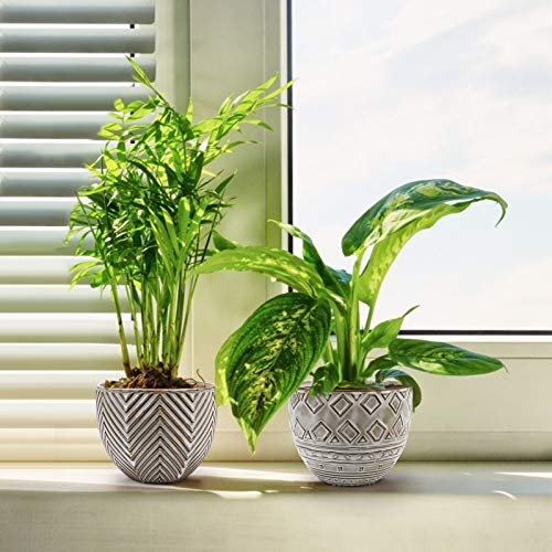 KORAM 5.5 Inch Ceramic Planter, Indoor & Outdoor Garden Pots for Flower Succulent Plant with Drain Hole, Home Office Decoration Set of 2(Plants Not Included)