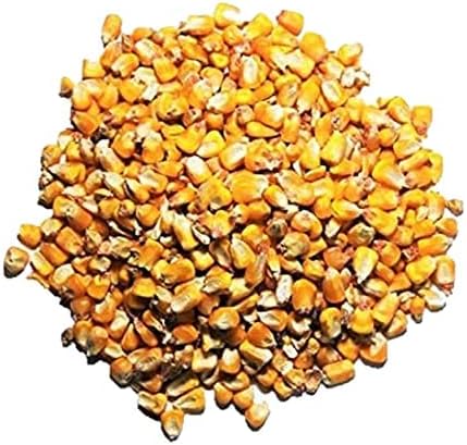 Backyard Birding & Wildlife - Executive Deals Premium Whole Corn Feed for Deer, Squirrels, Birds, Beef Cattles, Wildlife - 10LB (Double-Sealed)