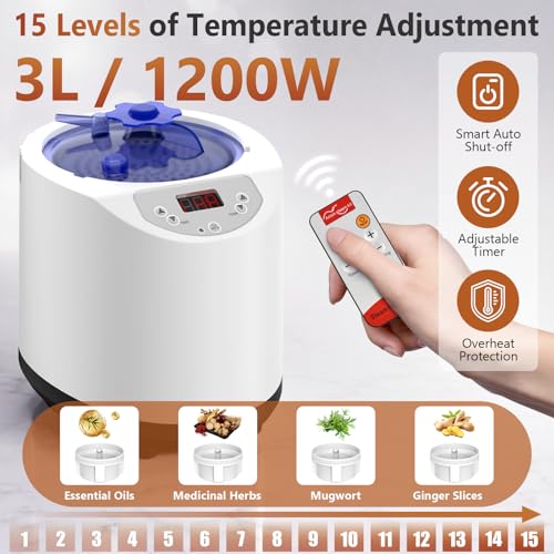 iTHERAU Portable Home Infra.red Sauna Box, 2-Panel Red Light Steam Sauna Tent, Personal Full Body Steam Room with Dual 660nm & 880nm Red Light Lamp, 3L 1200W Steamer, 15 Levels Heat, Folding Chair