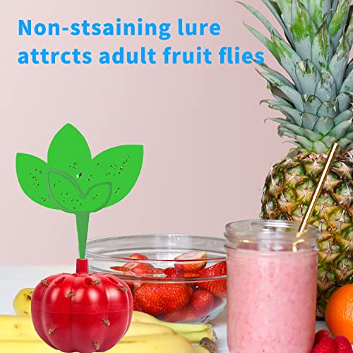 Fruchtfliegenfalle mit Köder Indoor, Küche Fruchtfliegenfalle mit Steck Fliegenfalle Klebeplatten, ungiftig und sicher, 2 Fallen + 1 Fliegenköder+12 Grüne Aufkleber Gegen Fliegen