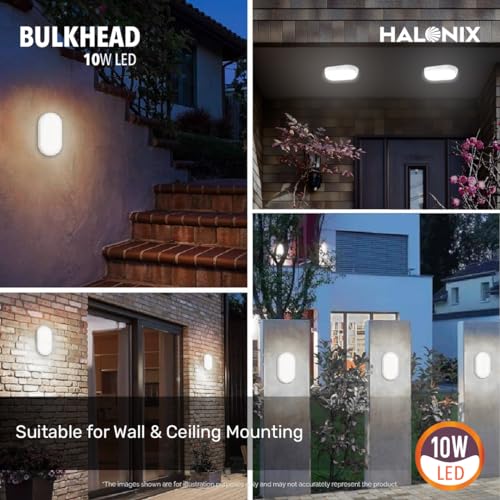 Halonix Polycarbonate 10W wall Lamp LED Oval Shape Outdoor Bulkhead|Outdoor Light Waterproof IP65|Waterproof Porch for Garden Bathroom (Cool White, Pack of 1) 3