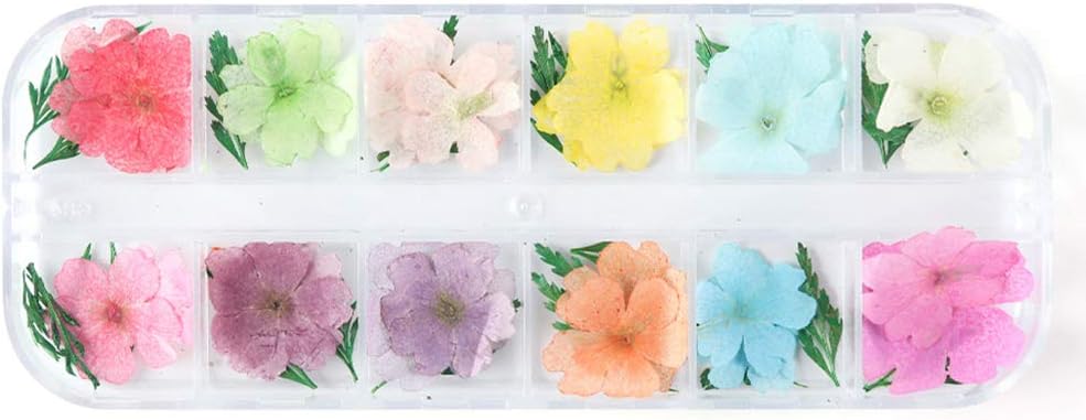 cici store 1 Box Dry Flower Crystal Epoxy Filler, DIY Craft Silicone Molds UV Resin Filling Material Decoration Accessories