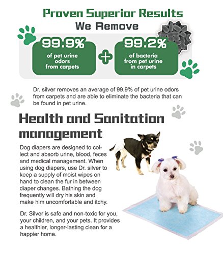 Dr.Silver Deodorizer Spray for Pets Odor Eliminator, Silver-Ions & Photocatalyst Formula for Pet’s Urine, Skin, Carpet, Skunk Odor Removes, No Bathing Required, Safety & Friendly, Toscana Aroma