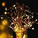 Sanniu LED Starry Fairy Lights Copper Wire Battery Operated String Lights with Remote,Orange Batteries Powered String Light for Home Easter Decoration,Holiday,Wedding,Party(Warm White,5m/16ft)