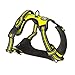 PoyPet No Pull Dog Harness, Reflective Comfortable Vest Harness with Front & Back 2 Leash Attachments and Easy Control Handle Adjustable Soft Padded Pet Vest for Small to Large Dogs (Green,XL)