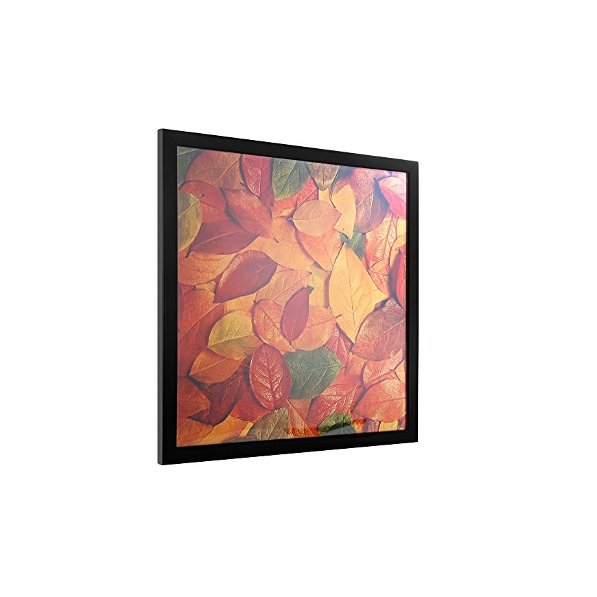 Medog 13 by 13 Picture Frame Without Mat 13x13 Record Album Frame Black