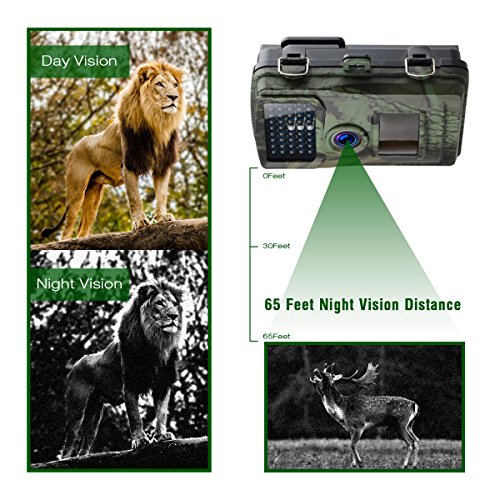 Trail-Game-Camera-Toguard-12MP-1080P-Wildlife-Scouting-Hunting-Camera-Supports-Micro-SD-Card-ONLY-with-75ft22M-Infrared-Night-Vision-PIR-Motion-Detection-IP56-Waterproof