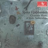 CHAMBER MUSIC OF MARC SATTERWHITE                  image