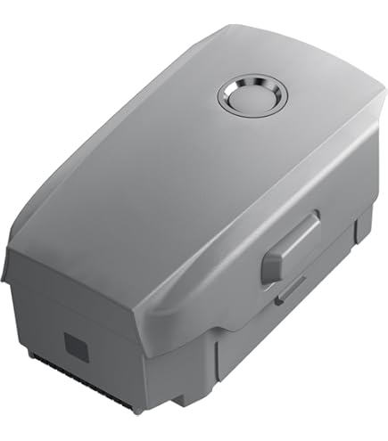 Amazon.com: DJI CP.MA.00000038.01 Intelligent Flight