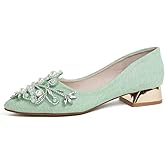 Women's Rhinestone Fashion Pointed Toe Pearl Diamond Low Heel Dress Wedding Work Business Dance Pumps