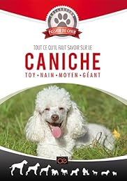 Tout ce qu'il faut savoir sur le caniche : Toy - Nain - Moyen - Géant