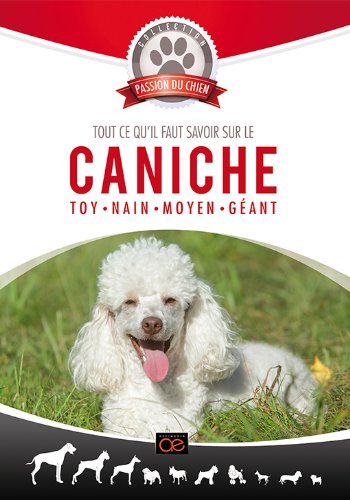 Tout ce qu'il faut savoir sur le caniche : Toy - Nain - Moyen - Géant