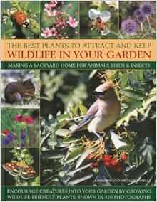 The Best Plants To Attract And Keep Wildlife In Your