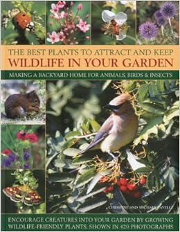 10 Popular Products That Will Attract Wildlife To Your Backyard