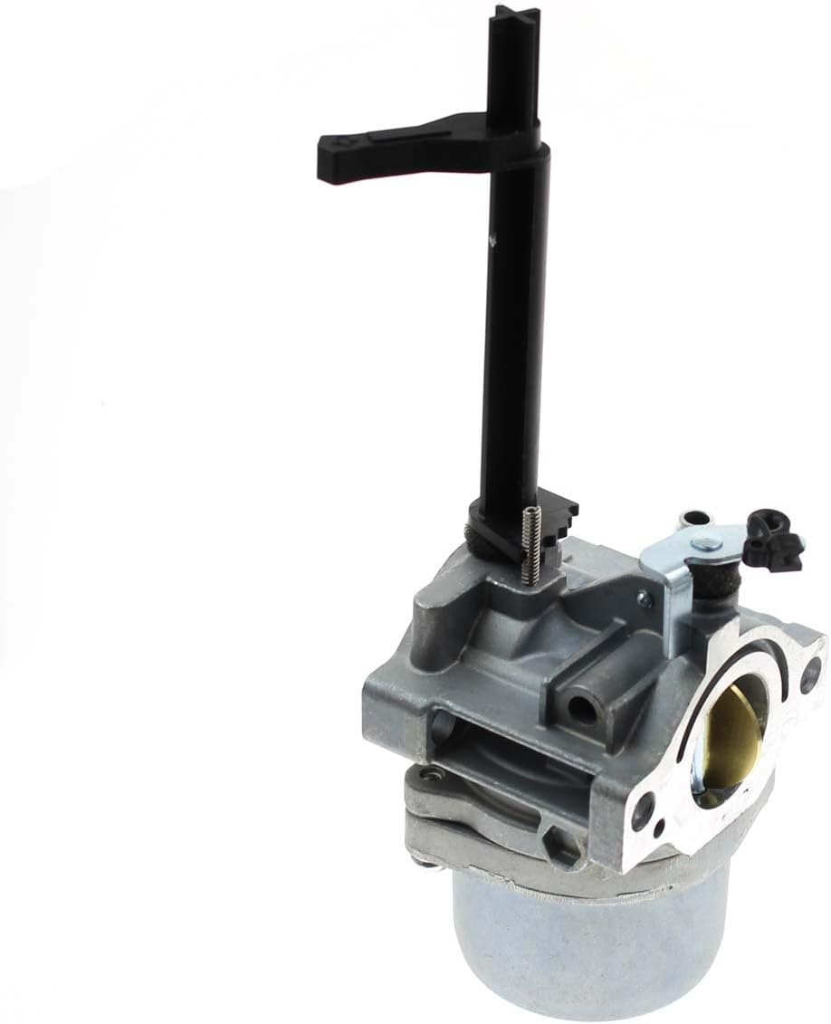 591378 Carburetor for Briggs & Stratton Snowblower 796321 696132 696133 796322 697351 699958 699966 698455 695918 694952 695919 695330 796323 695920 695328 Generator with Gaskets : Garden & Outdoor