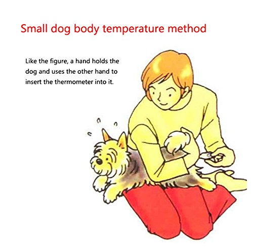 Digital Pet Thermometer,Fast Rectal and Oral Thermometer for Dogs, Cats, Horses, Pets and Livestock,Body Temperature Clinical Professional Detecting Pet Veterinary Thermometer