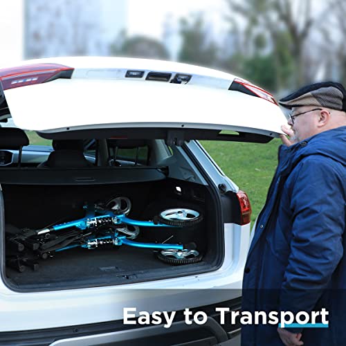 HEAO Rollator Walker with Seat for Seniors,4 x 10" Wheels Upright